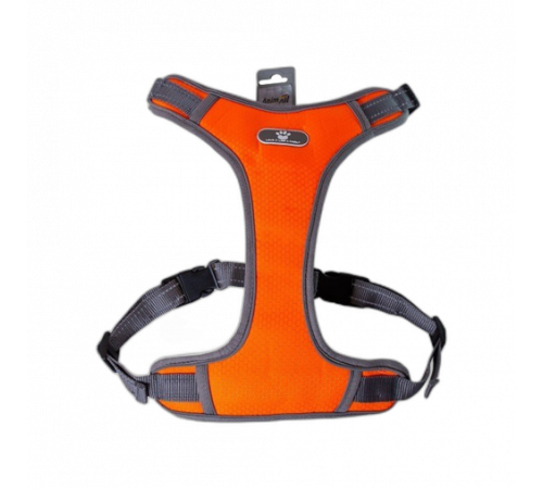 Шлея AnimAll HL-8005-1 для собак, размер S, оранжевая (28–34 см / 28–48 см) Шлея AnimAll HL-8005-1 для собак, размер S, оранжевая (28–34 см / 28–48 см)