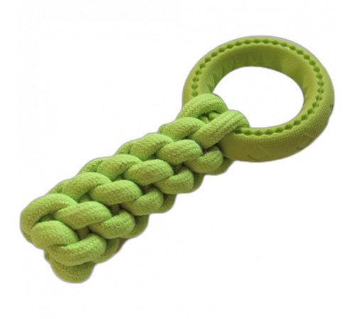 Игрушка AnimAll GrizZzly для собак, кроссфит с кольцом, 24×10 см, зелёная