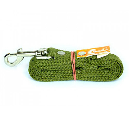 Поводок брезентовый, 2 см × 1,5 м, зелёный (43017)