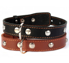 Ошейник «Collar» одинарный с украшениями, 25 мм × 38–50 см, чёрный/коричневый (43071)