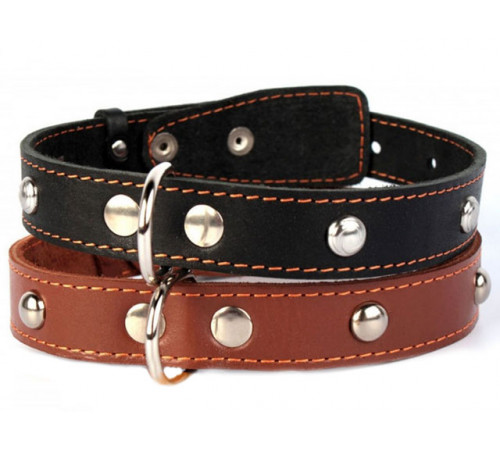 Ошейник «Collar» одинарный с украшениями, 25 мм × 38–50 см, чёрный/коричневый (43071)