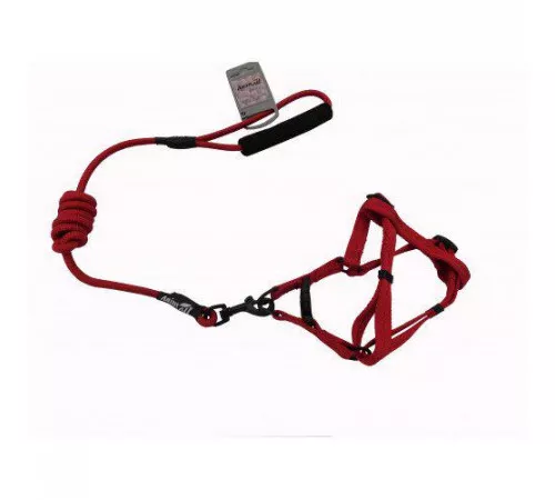 AnimAll Red Набор шлея и поводок M (10x1200x20 мм) AnimAll Red Набор шлея и поводок M (10x1200x20 мм)